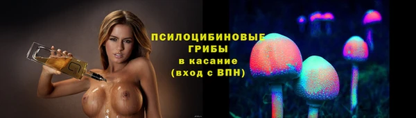 бошки Аркадак