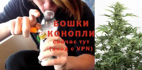 бошки Аркадак