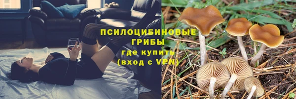 бошки Аркадак